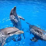 Appartamento Costa Del Sol
